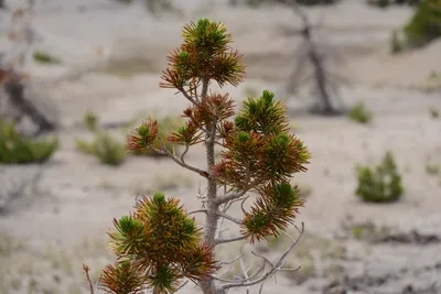 DSC_3146 (Large).JPG